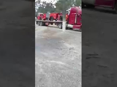 Vương quốc Anh-8